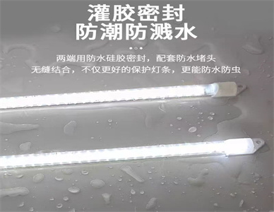 33408b9c4a1471a39a8d2d8b8e294f6.jpg