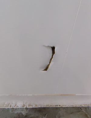 洞眼钉眼修  (1).jpg